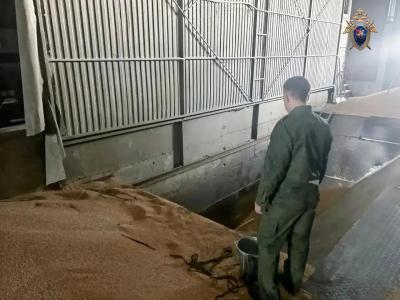 В Аткарске рабочего насмерть завалило зерном
