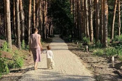 В Лысых Горах непроходимый сосновый бор превратили в прогулочную зону