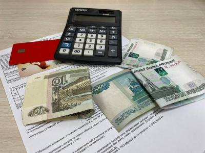 Саратовский регоператор взыскал с должников за вывоз мусора почти 50 млн рублей