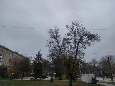 В Саратовской области похолодает до +1 и усилится ветер