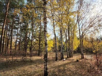 В Саратове переменная облачность, +21