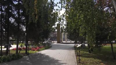 Жители Энгельса до 8 ноября могут проголосовать за городские территории