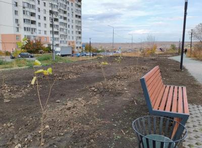 В Саратове в парке 
