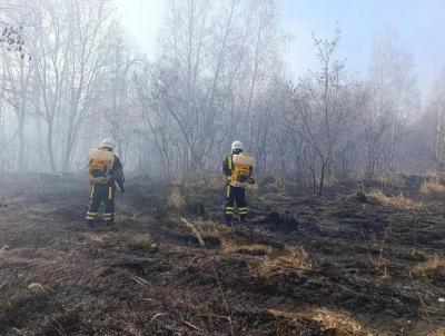 Лесной пожар около села Лох полностью ликвидировали