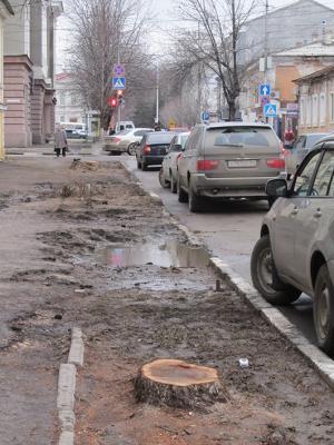 Алексею Прокопенко внесено прокурорское представление за вырубку деревьев