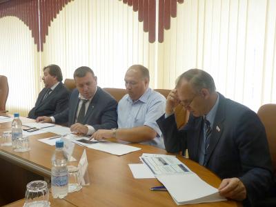 В облдуме обсуждают проект канатной дороги через Волгу (ФОТО)