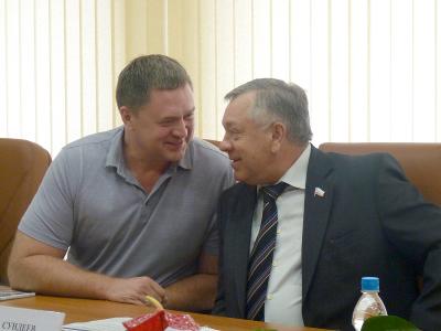 В облдуме обсуждают проект канатной дороги через Волгу (ФОТО)
