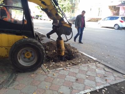 На улице Яблочкова высадят более двух десятков деревьев
