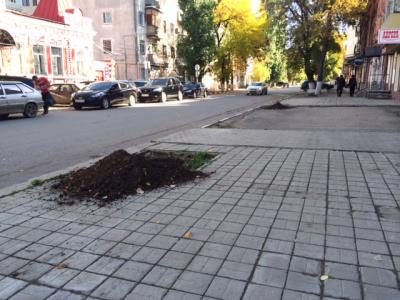 На улице Яблочкова высадят более двух десятков деревьев