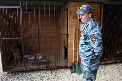В саратовском вузе могут ввести специальность «служебное собаководство»