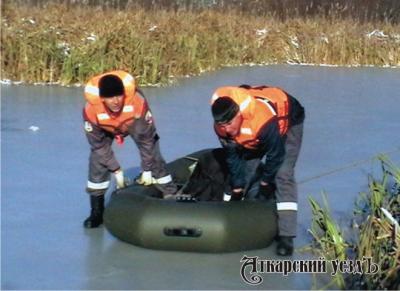 Аткарские спасатели два часа боролись за жизнь лебединой пары на замерзшем озере