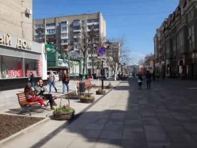 На улице Волжской установили плетеные корзины с цветами