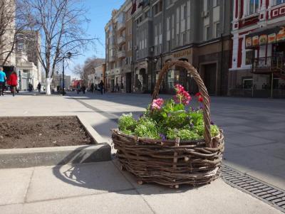 На улице Волжской установили плетеные корзины с цветами