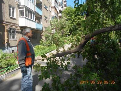 Специалисты ликвидировали последствия падения дерева на улице Азина