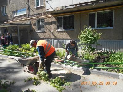 Специалисты ликвидировали последствия падения дерева на улице Азина