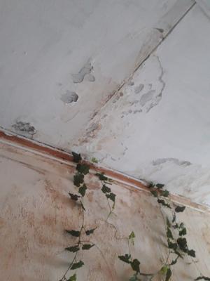 Родители воспитанников  жалуются на протекающую крышу детсада в Петровске