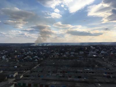 На краю Саратова горели лесные массивы