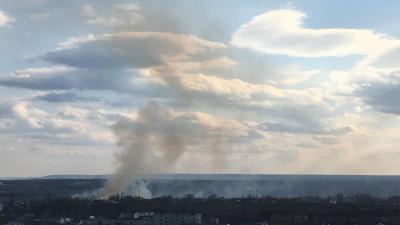 На краю Саратова горели лесные массивы