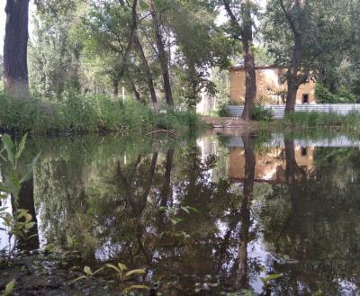 На Огородной появились природные водоемы На Огородной появились природные водоемы