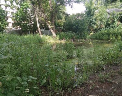 На Огородной появились природные водоемы На Огородной появились природные водоемы