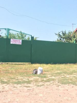 Жители Энгельсского района начали делать из мешков с мусором гирлянды