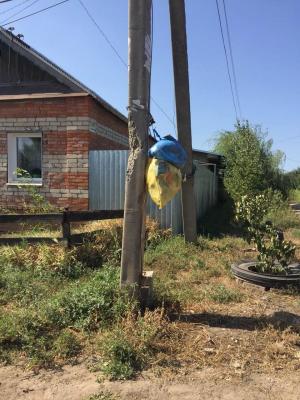 Жители Энгельсского района начали делать из мешков с мусором гирлянды