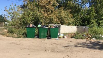 Жители Энгельсского района начали делать из мешков с мусором гирлянды