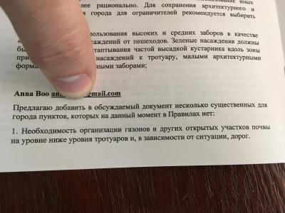 В мэрии продолжают рассматривать инициативы таинственной незнакомки