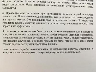 В мэрии продолжают рассматривать инициативы таинственной незнакомки
