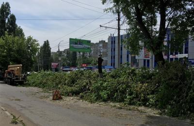 На 1-й Дачной начался массовый спил деревьев