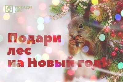 Новый Год В Саратовской Области Новый Год В Саратовской Области