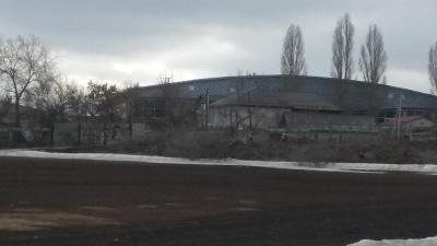 В Саратове спилили деревья рядом со стадионом 