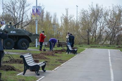 В Энгельсе в разгар ограничительных мер молодежь сажала деревья в парке 