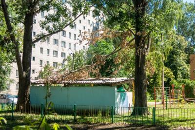 В детском саду больше месяца не ликвидированы последствия урагана В детском саду больше месяца не ликвидированы последствия урагана