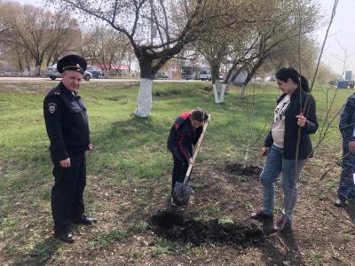 К Дню Победы в парке 