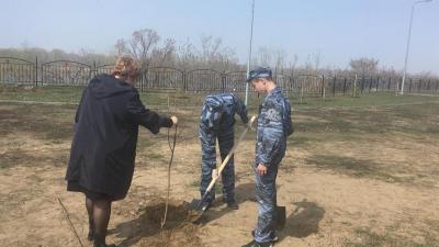 К Дню Победы в парке 