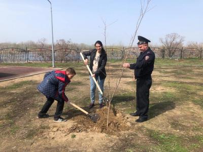 К Дню Победы в парке 